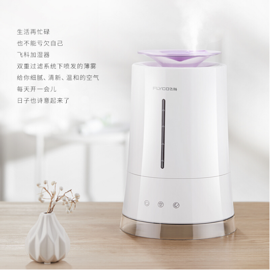 飛科（FLYCO）加濕器