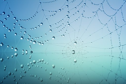 公司福利平臺：薪酬管理系統必須具有角色管理權限