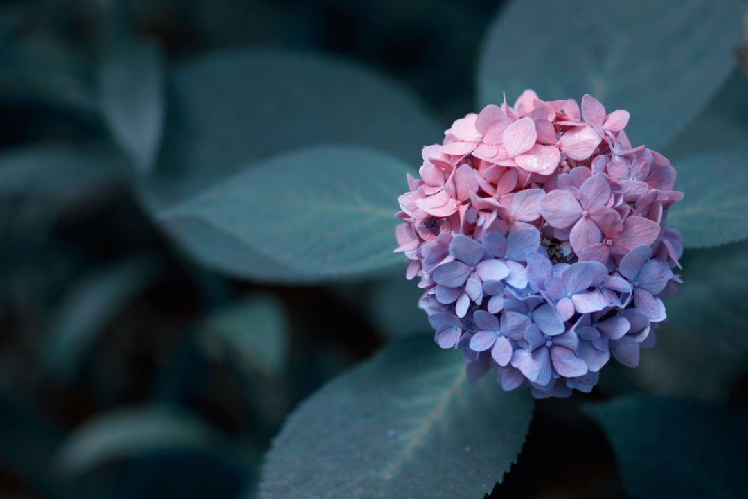 員工福利平臺(tái)：職業(yè)健康體檢要花費(fèi)多少錢？