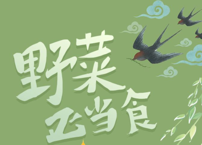 福利plus|野菜正當“食”，當心別采錯了！