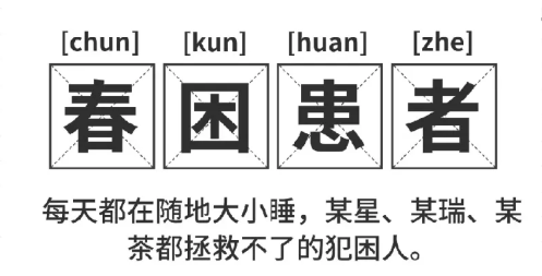 福利plus|打工人續命指南：提神零食清單+5分鐘暴汗操，一鍵領??！